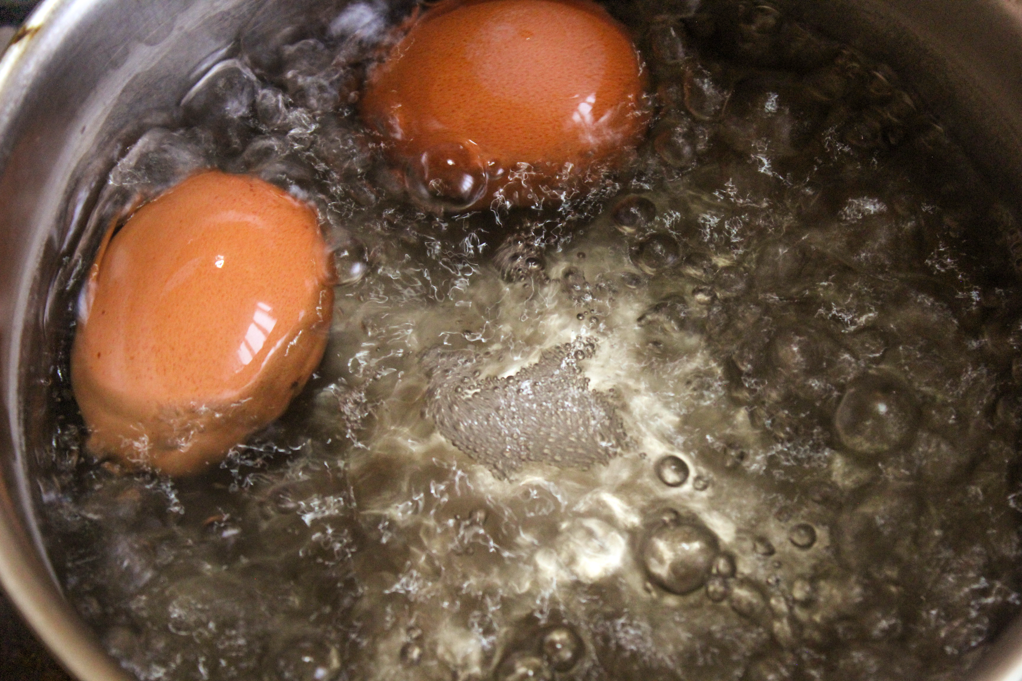 Boiled Eggs and Coaching!